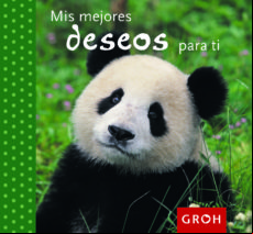 Mis Mejores Deseos Para Ti