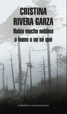 Había Mucha Neblina O Humo O No Sé Qué (ebook)