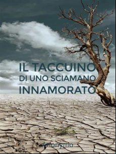 Il Taccuino Di Uno Sciamano Innamorato (ebook)
