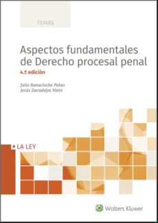 Aspectos Fundamentales De Derecho Procesal Penal (4.ª Edición) (ebook)