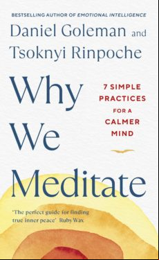 WHY WE MEDITATE EBOOK