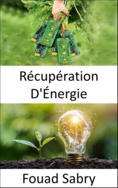 Récupération Dénergie (ebook)