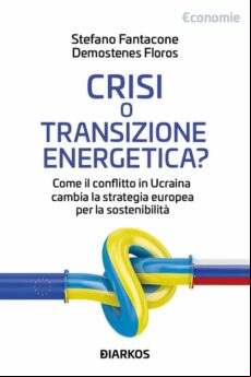Crisi O Transizione Energetica? (ebook)