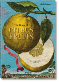 J. C. Volkamer. The Book Of Citrus Fruits