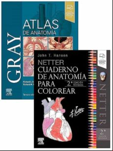 Lote Drake Atlas - Hansen Cuaderno (drake R.l. Gray. Atlas De Anatomía