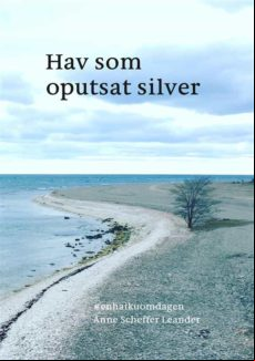 Hav Som Oputsat Silver (ebook)