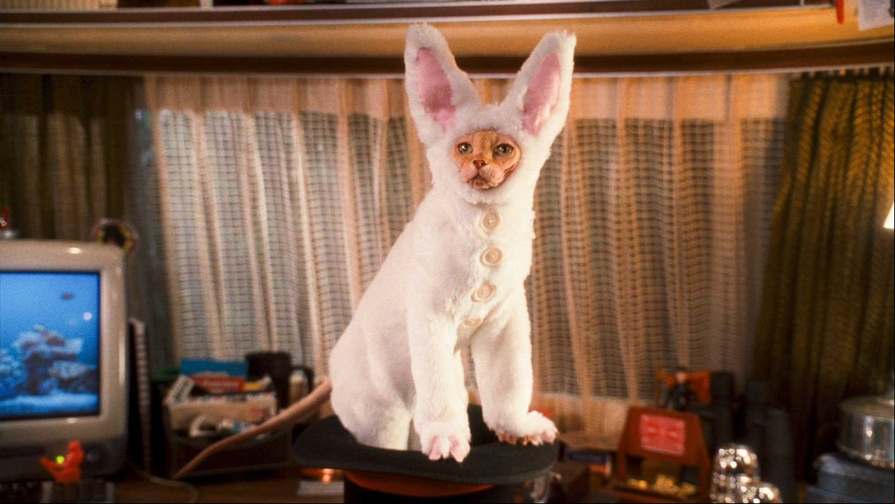 Como perros y gatos: La venganza de Kitty Galore