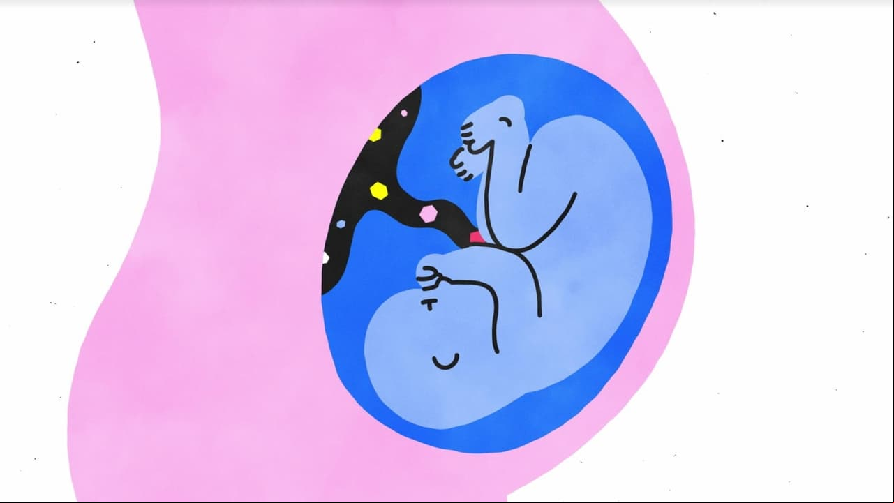 El sexo, en pocas palabras