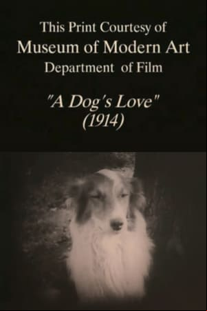 A Dogs Love
