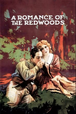 Un romance en los Redwoods Un romance en los Redwoods