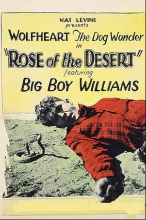 Rose of the Desert