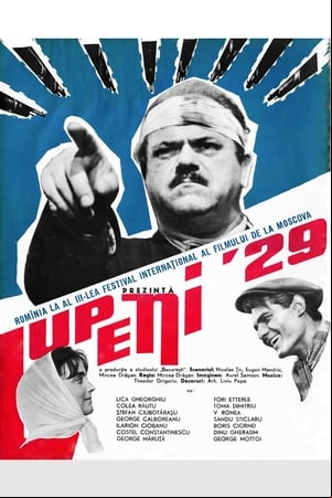 O lume fără cer