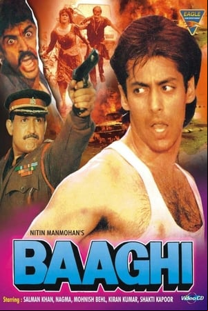 Baaghi: A Rebel for Love Baaghi: A Rebel for Love