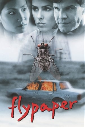 Flypaper Flypaper
