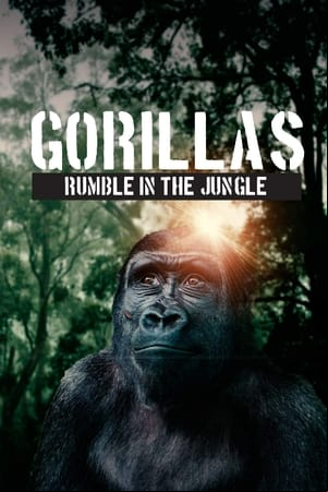 Gorillas: Rumble in the Jungle