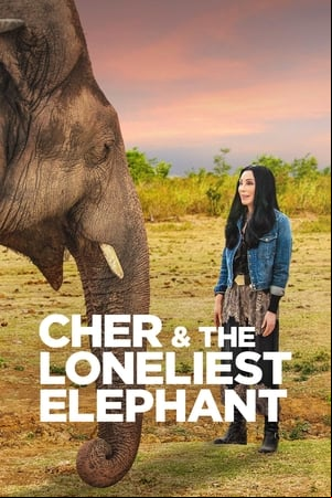 Cher y el elefante solitario Cher y el elefante solitario