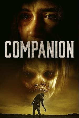 Companion Companion