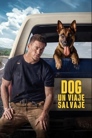 Dog - Un viaje salvaje Dog - Un viaje salvaje