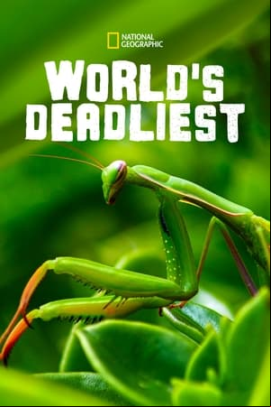 Worlds Deadliest