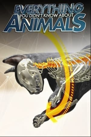 Everything You Didnt Know About Animals
