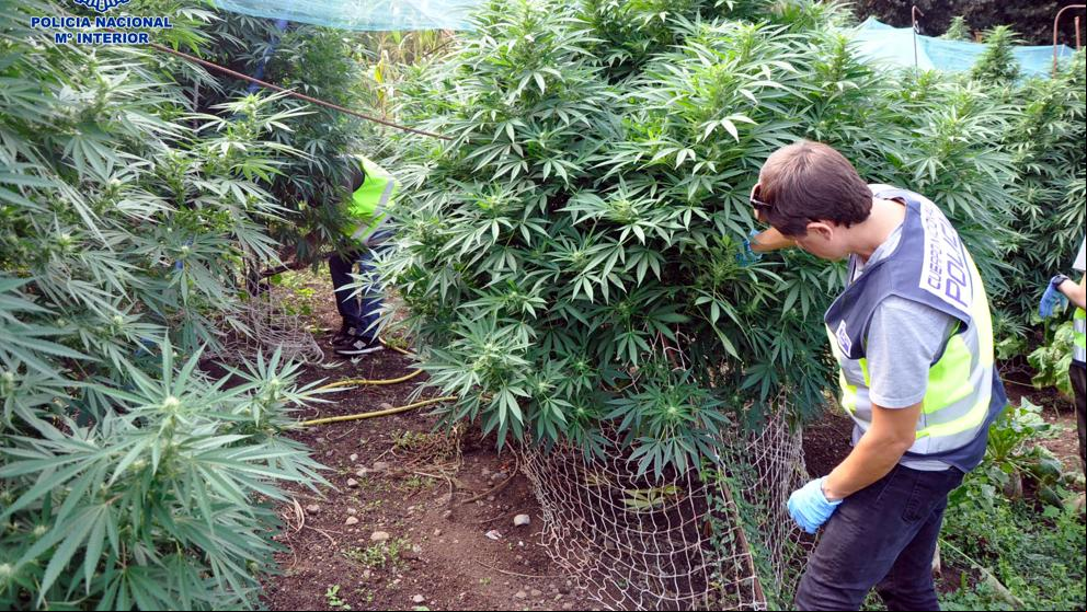 Tres detenidos en un operativo internacional contra el narcotráfico