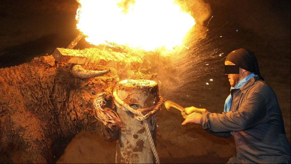 Despliegue policial para proteger el polémico toro de fuego de Medinaceli
