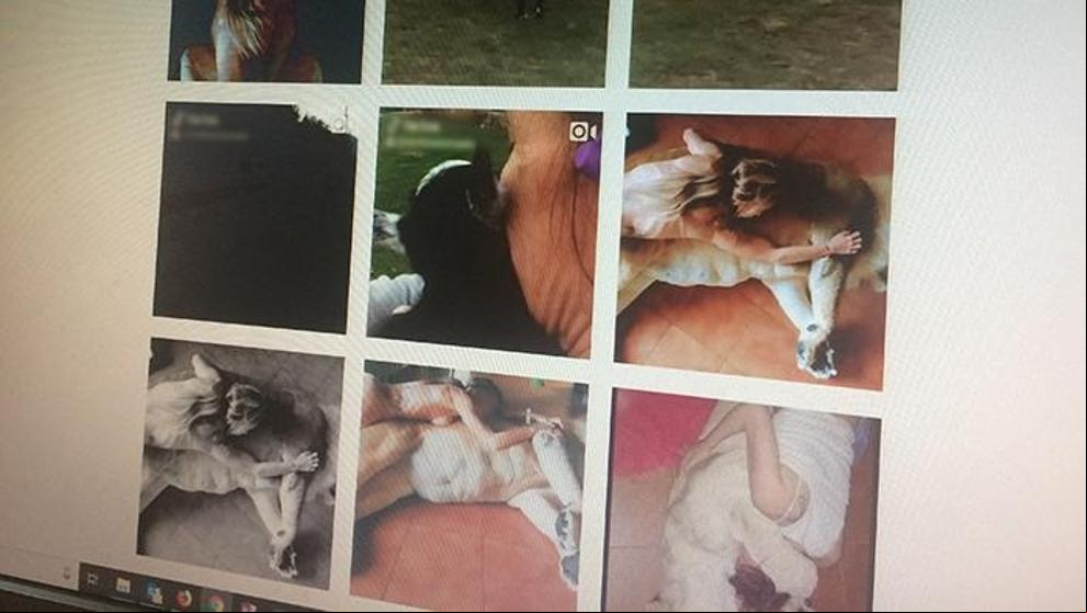 Piden el decomiso de un león utilizado supuestamente en fotos eróticas