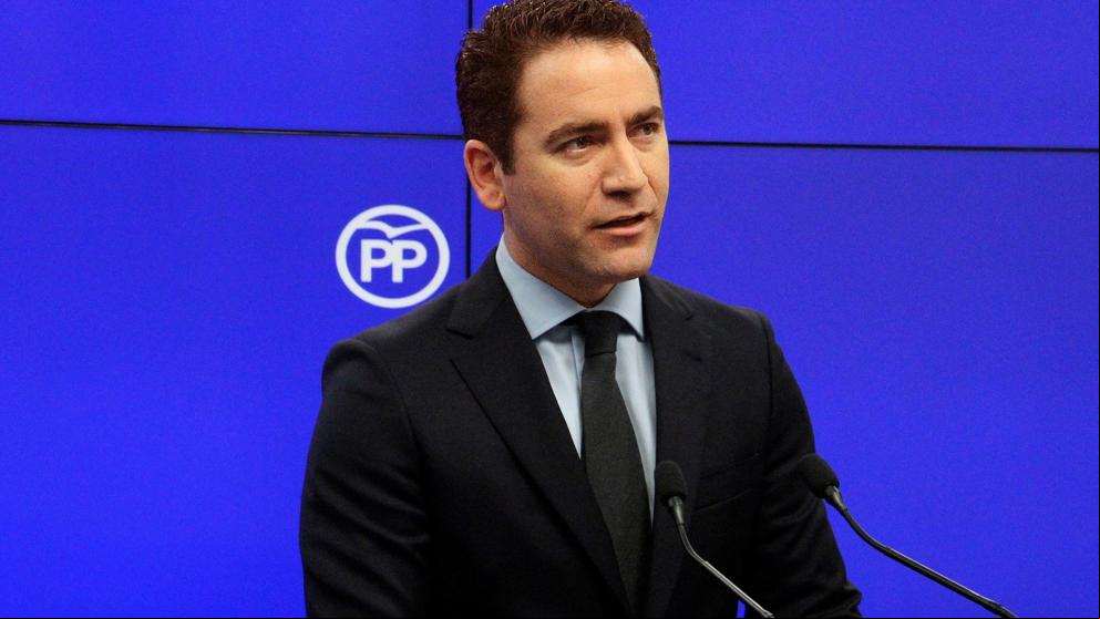 El PP avisa a Vox: “Hay riesgo cierto de que el socialismo se perpetúe” en Andalucía