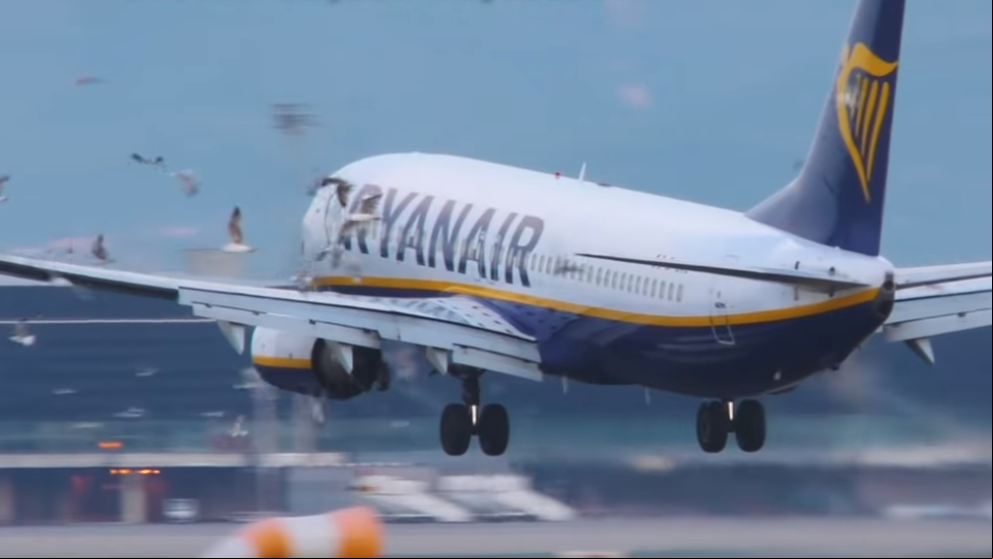 Espectacular vídeo de un avión impactando con una bandada de pájaros cuando intentaba aterrizar