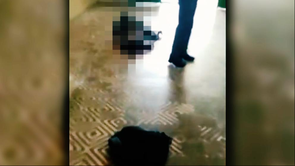 Al menos diez muertos, varios de ellos menores, en una matanza en una escuela de São Paulo