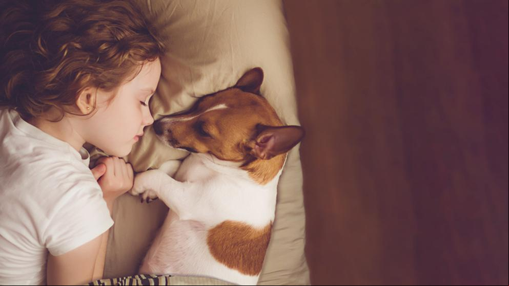 Tener perro (o no) está influenciado por tus genes