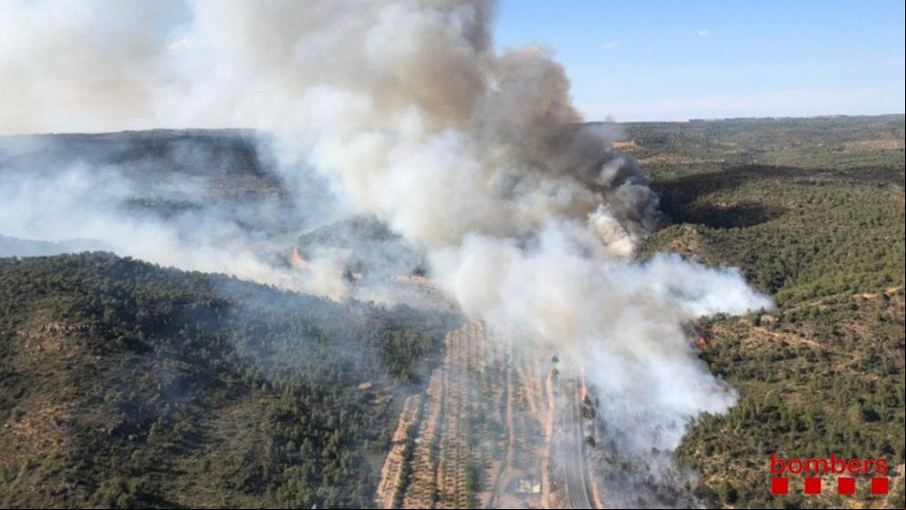 Un incendio forestal descontrolado obliga a cortar la C-12 en Maials