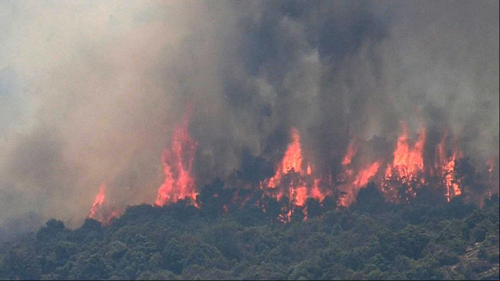 Rollán pide tranquilidad con los incendios