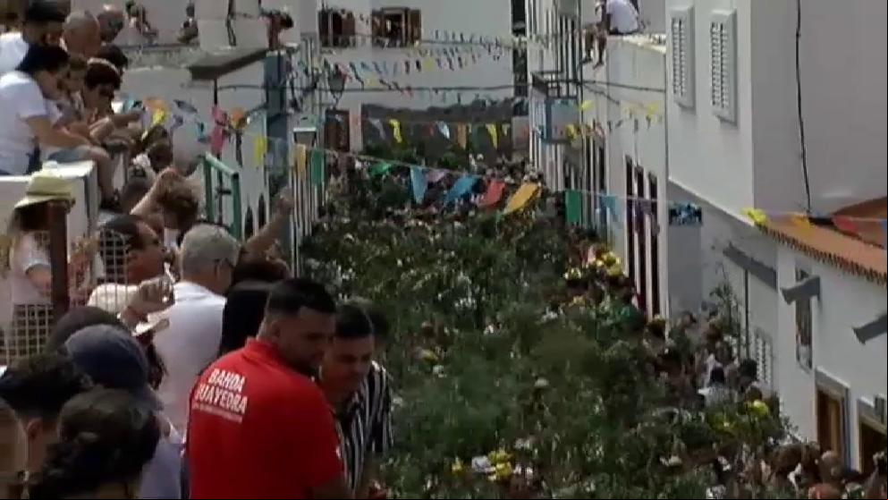 La localidad gran canaria de Agaete celebra su tradicional fiesta de La Rama