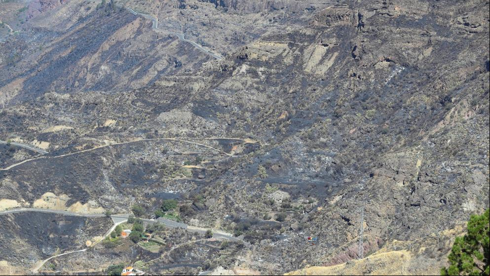 El incendio de Gran Canaria está contenido, no hay humo ni llamas pero sí brasas y viento