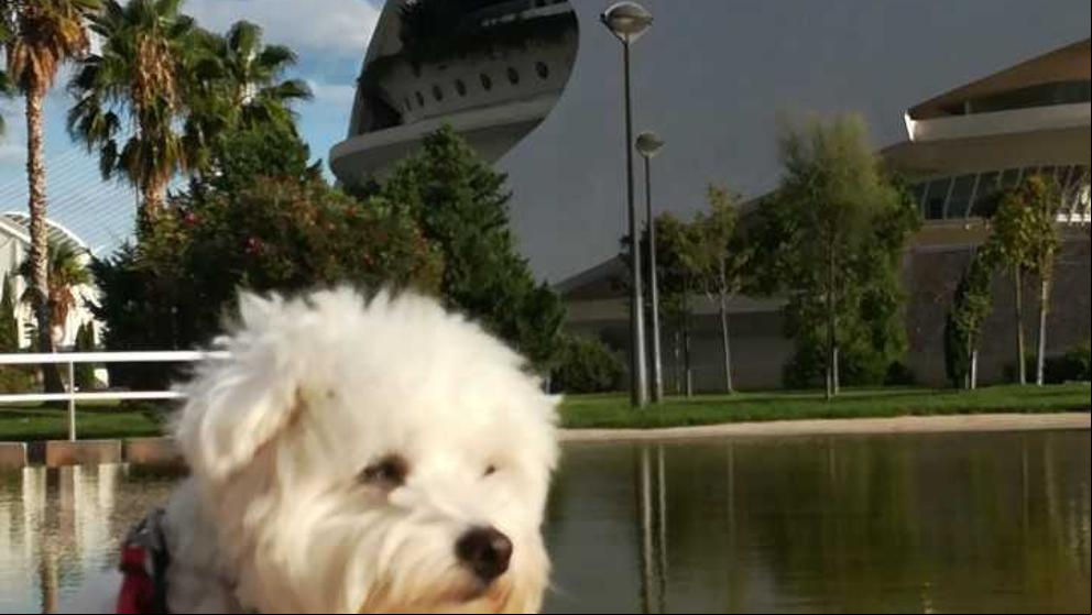 Thor en la Ciudad de las Ciencias