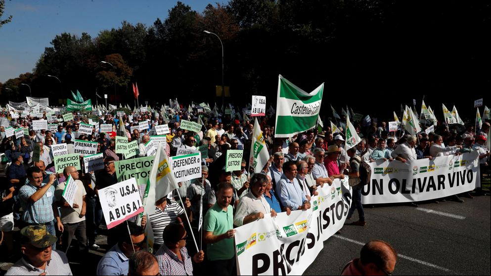 El sector olivarero se manifiesta en Madrid ante la crisis de precios