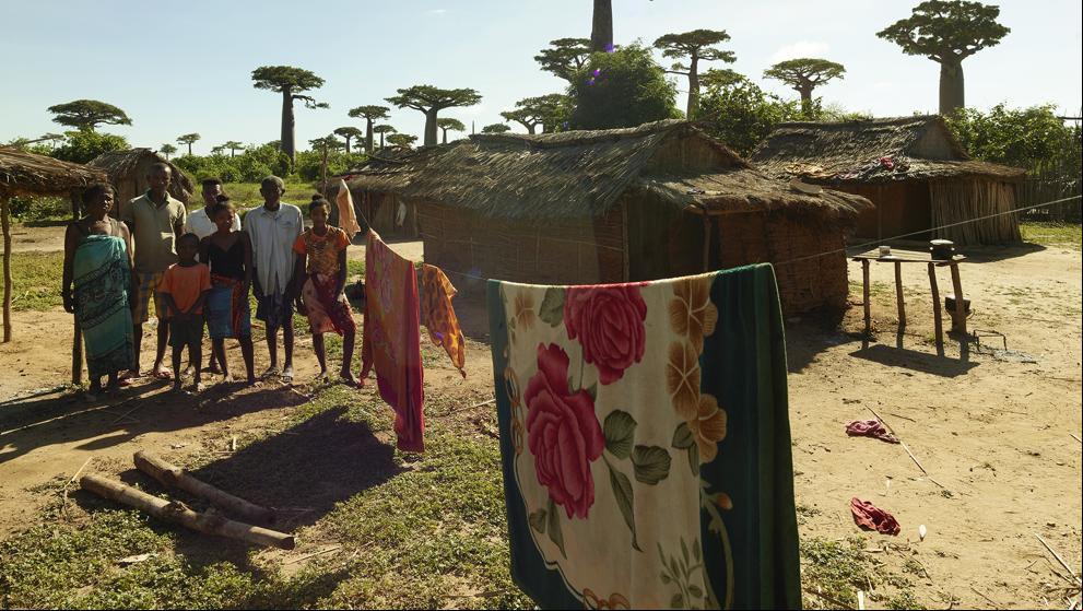 Madagascar, las palabras del baobab