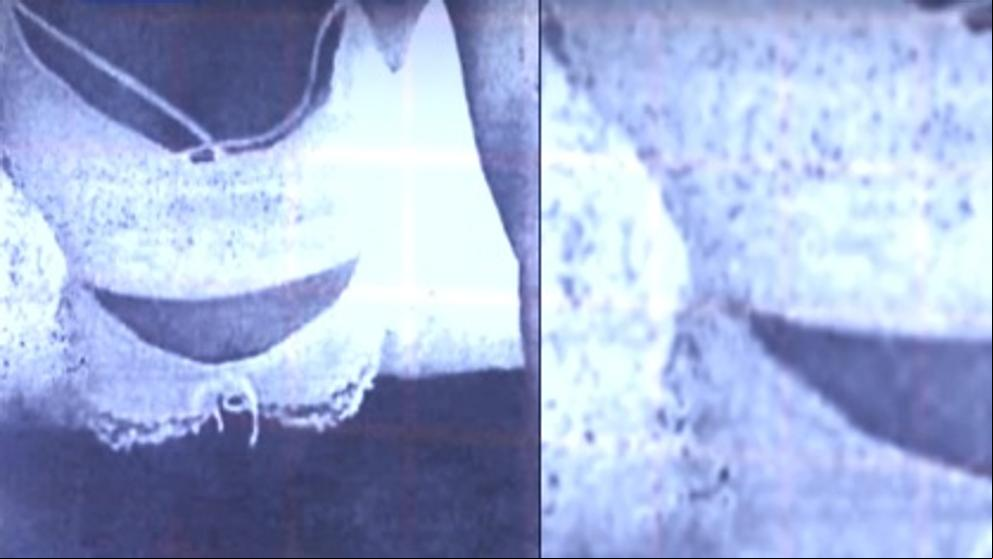Sale a la luz la última foto que captó Diana Quer con su móvil antes de desaparecer
