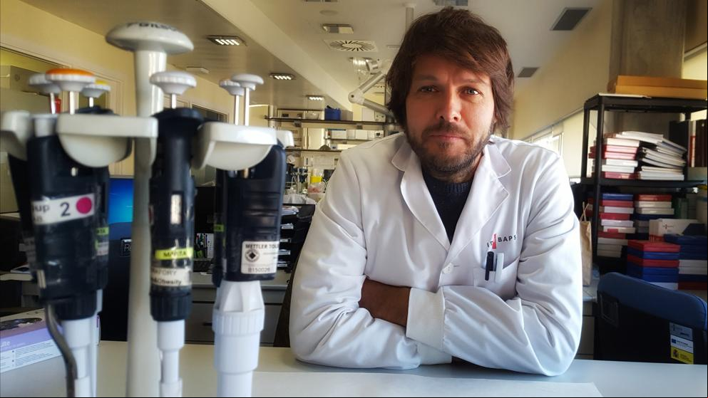 ¿Cómo influye el cerebro en la microbiota intestinal?