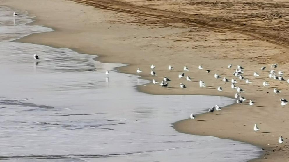 Tarde de otoño en la playa de Calafell
