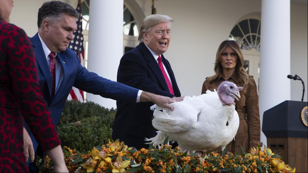 Guía para celebrar un Acción de Gracias en paz en la era Trump