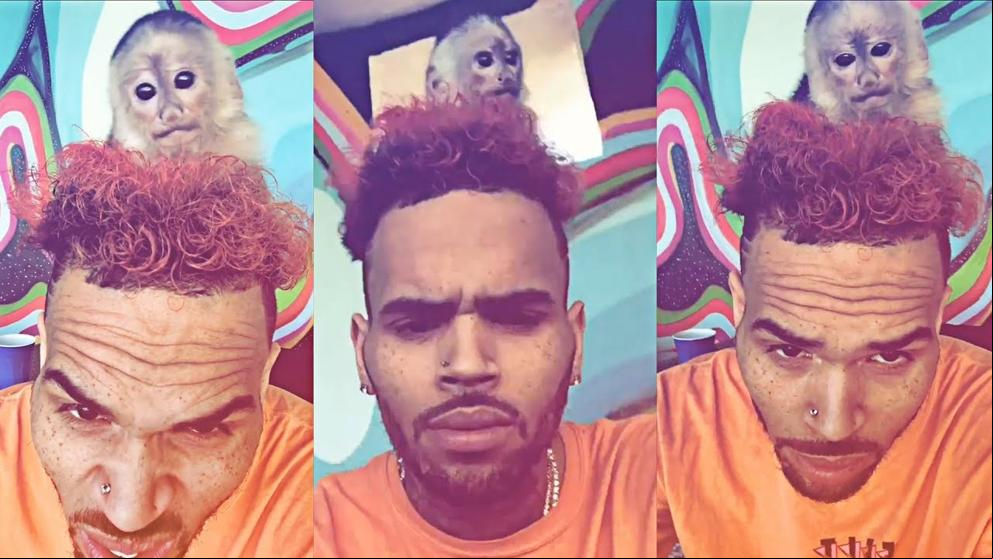 Chris Brown no puede acercarse a ningún mono durante seis meses