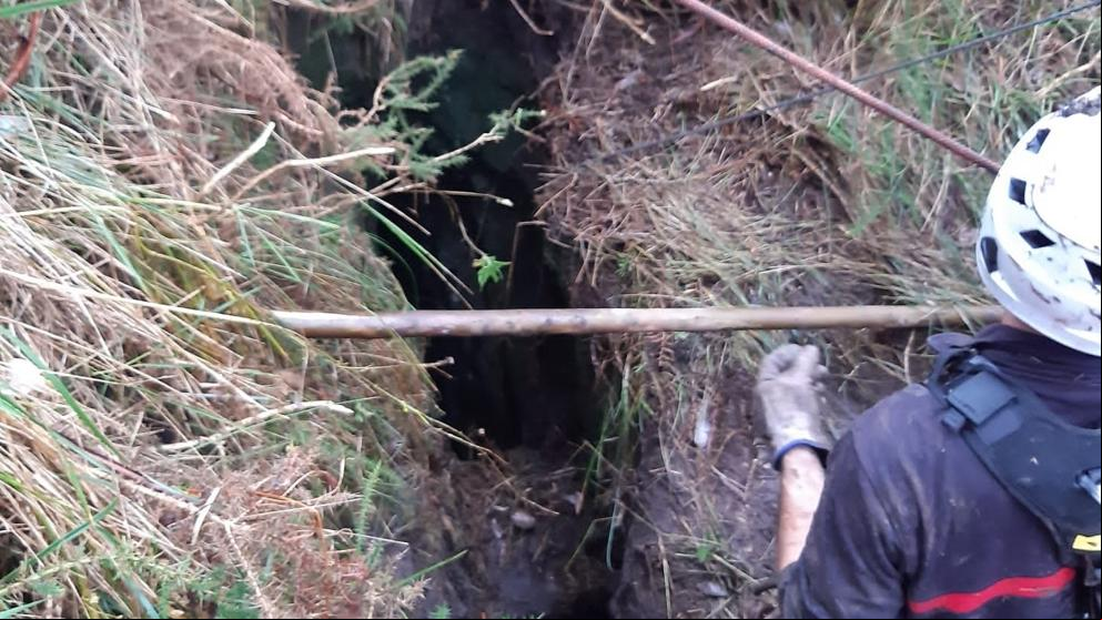 Tres perros de caza rescatados tras caer en una grieta de diez metros de profundidad