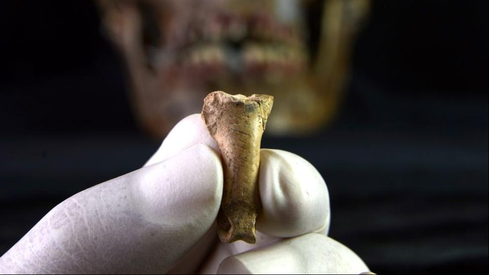 Un collar prehistórico encontrado en Calafell, entre los hallazgos mundiales del 2019