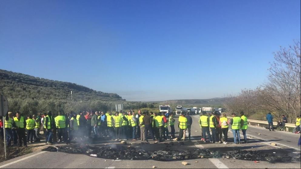 Respaldo unánime a las protestas del sector olivarero de Jaén