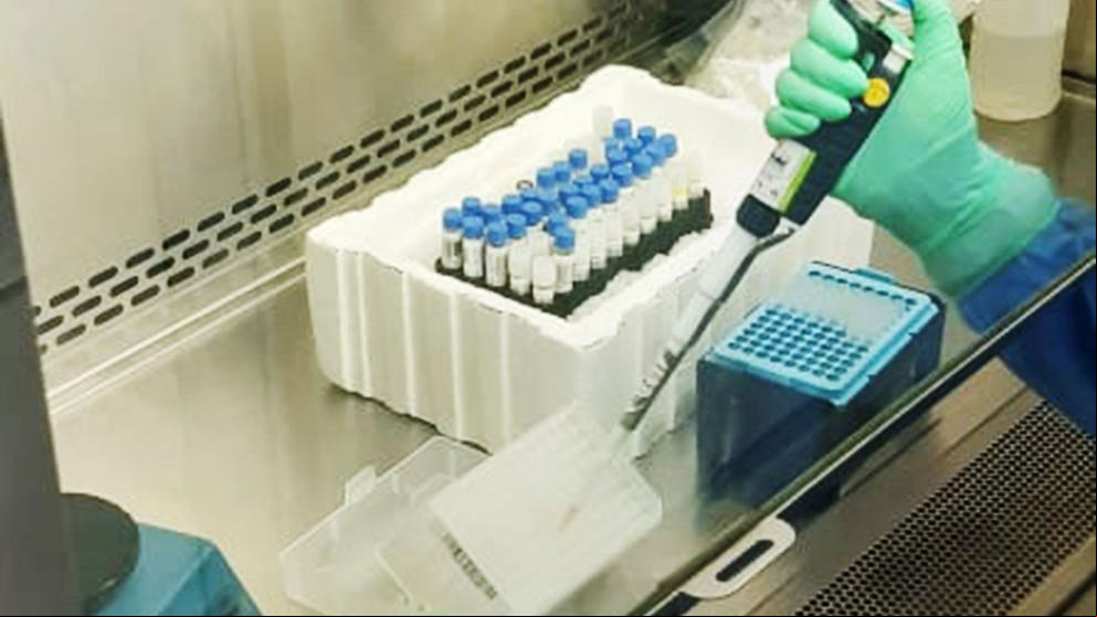 Entra en funcionamiento el laboratorio de diagnóstico de Covid-19 de la Complutense