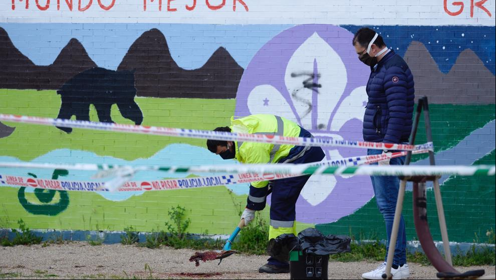 La autopsia al joven encontrado en un parque de Laguna confirma que tuvo una muerte violenta