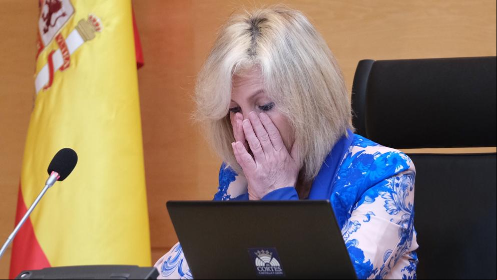 La consejera de Salud de Castilla y León rompe a llorar al recordar a los sanitarios muertos