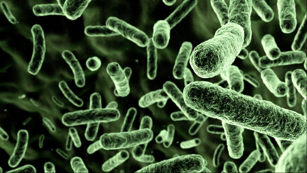 Los microorganismos podrían prosperar en planetas con atmósferas de hidrógeno